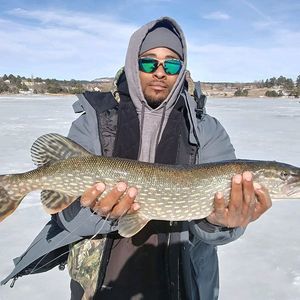 Meet your Posher, Chad